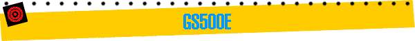 GS500E