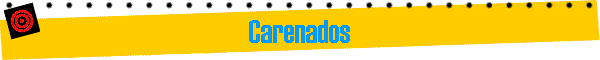 Carenados