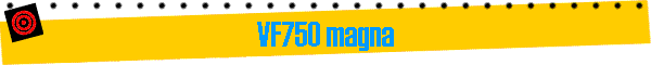 VF750 magna