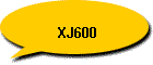 XJ600